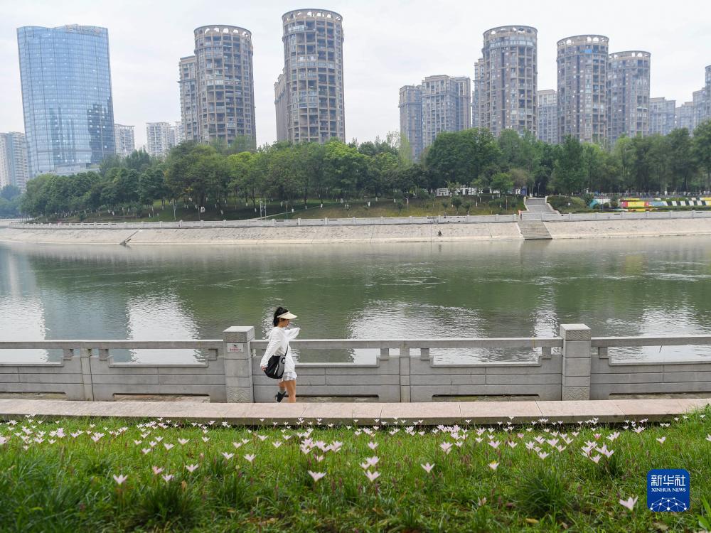 明仕娱乐